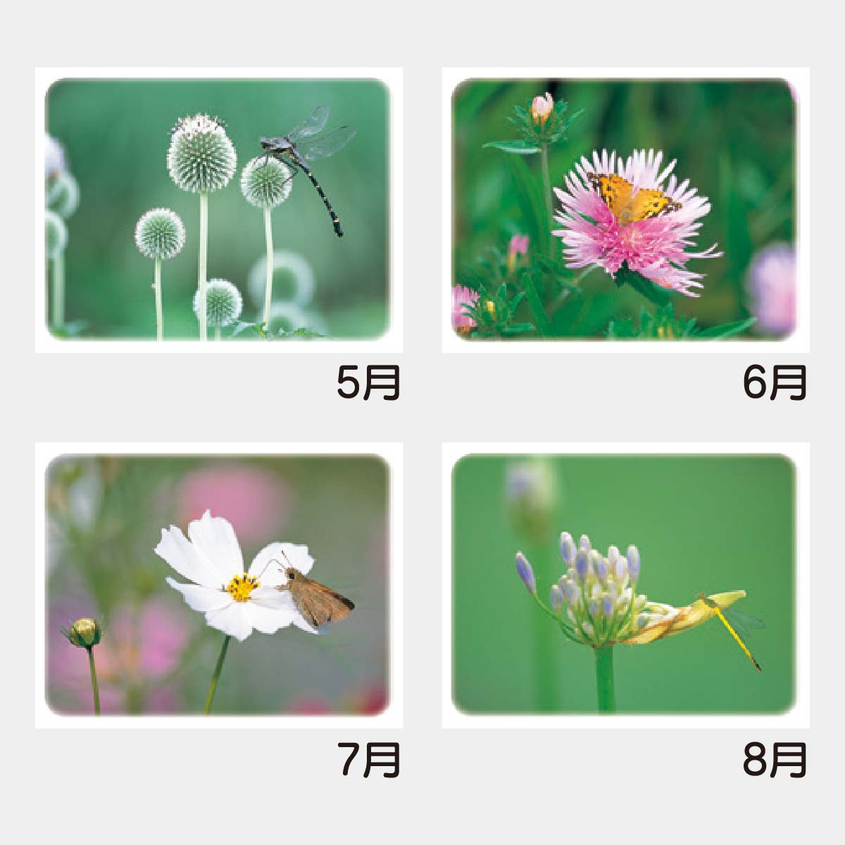 YK-822 プリティギャラリー(花)2026年版の名入れカレンダーを格安で