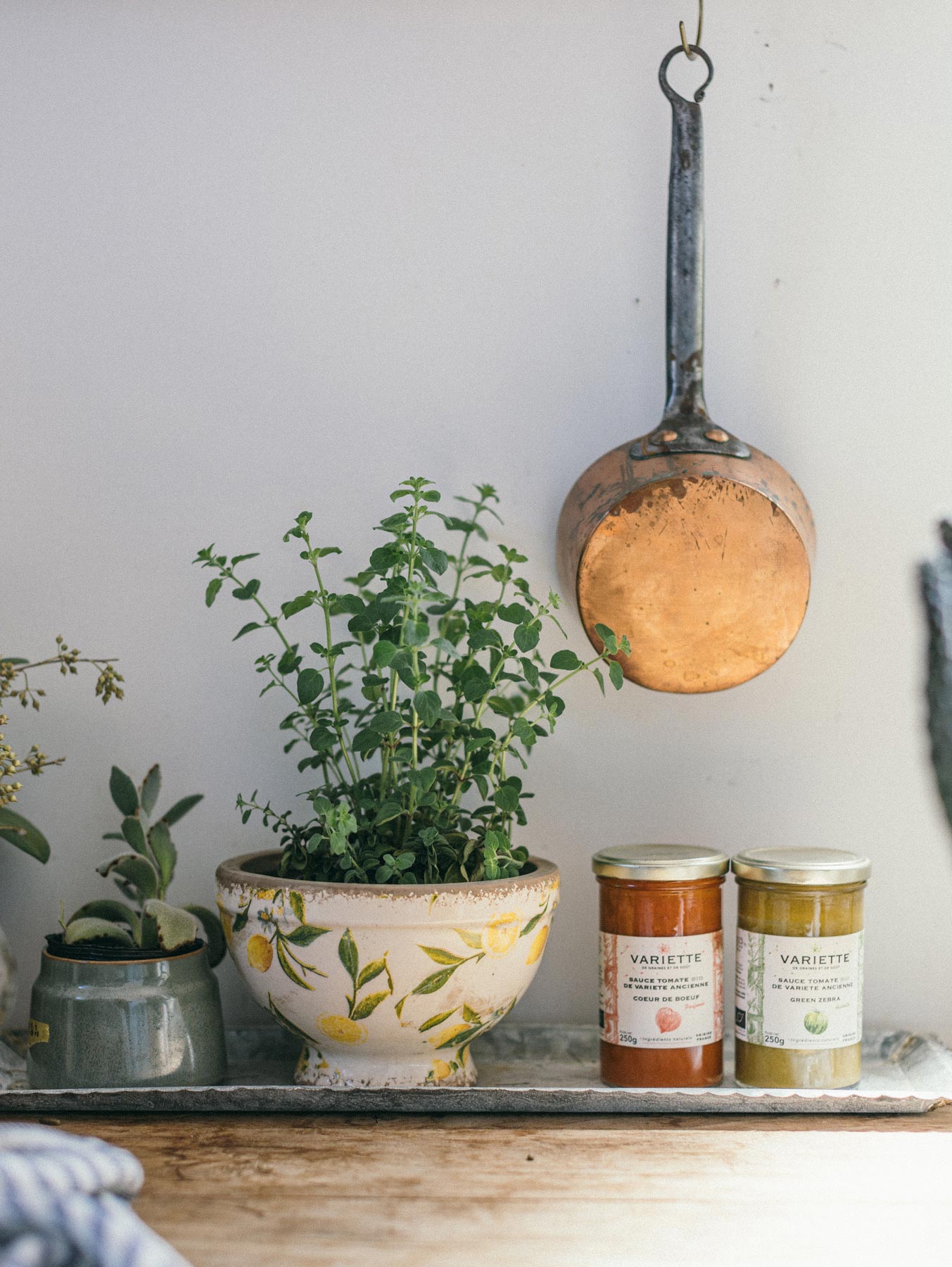 プランツポット｜ガーデニング｜オルネ ド フォイユ公式オンライン