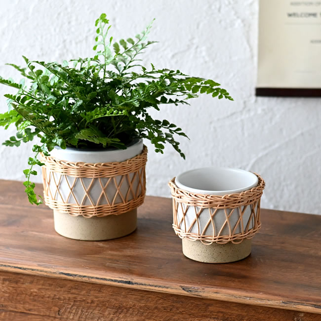 イーネス ポット | ゼネラルストア オルネ