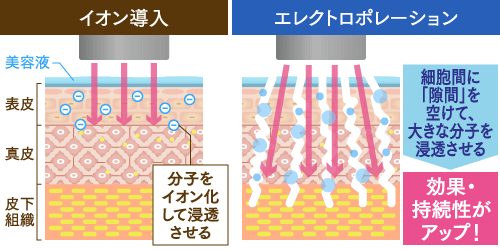 エレクトロポレーション｜オザキクリニックLUXE 新宿院（目黒祐天寺