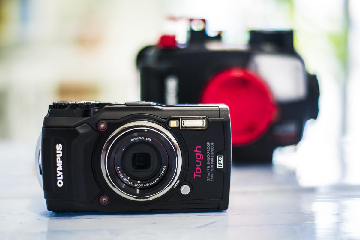 オリンパス TG5 タフの水中撮影 | ワールドダイビング