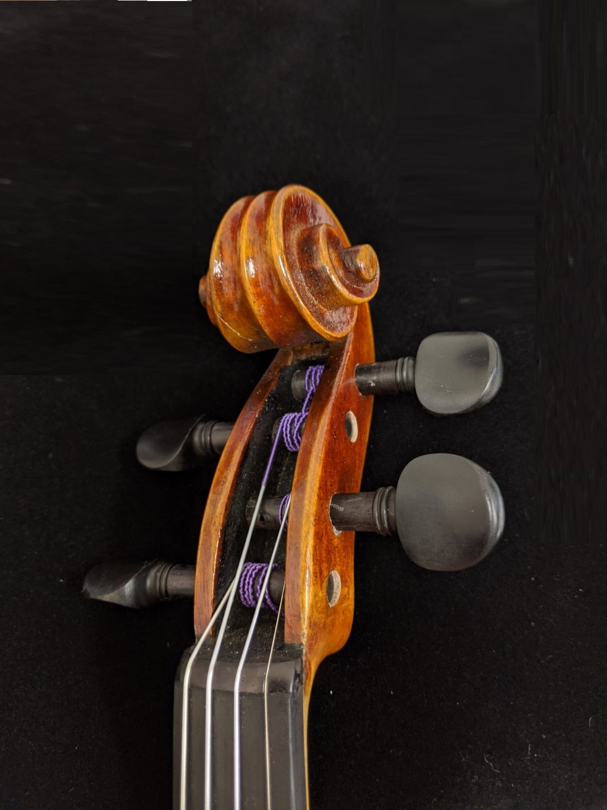 新品 CLAUDIO BACCI 4/4 | 株式会社エルフラット