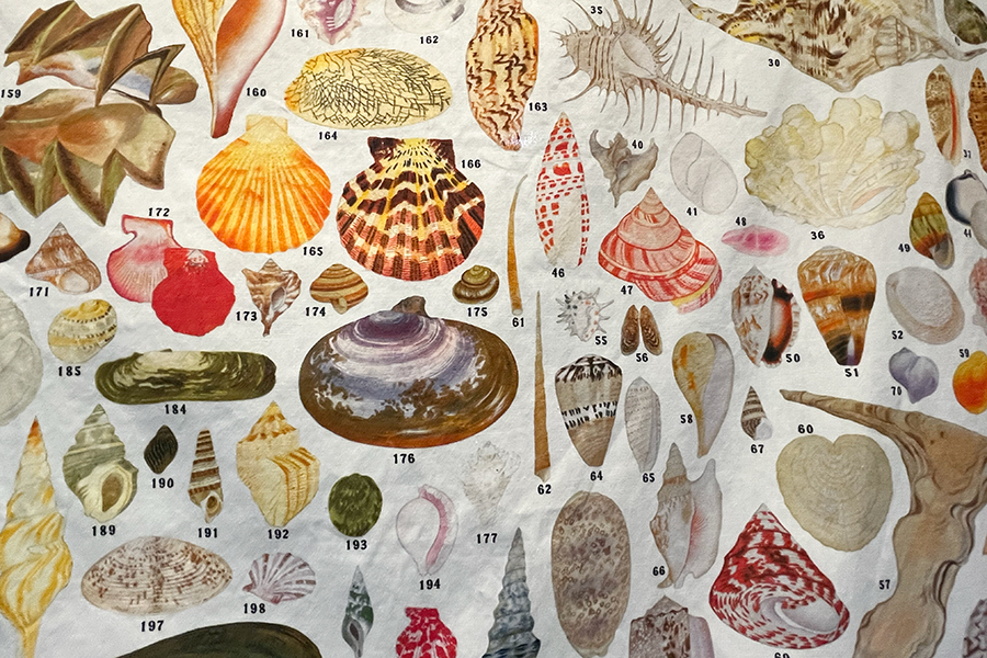 大阪の「博物館グッズ」が異例のヒット、6000円超えも…なぜ