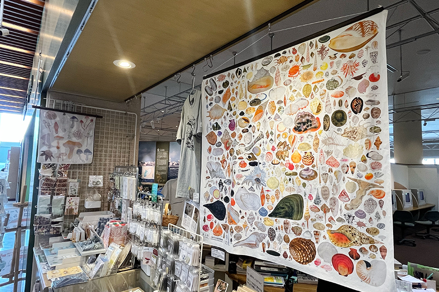 大阪の「博物館グッズ」が異例のヒット、6000円超えも…なぜ