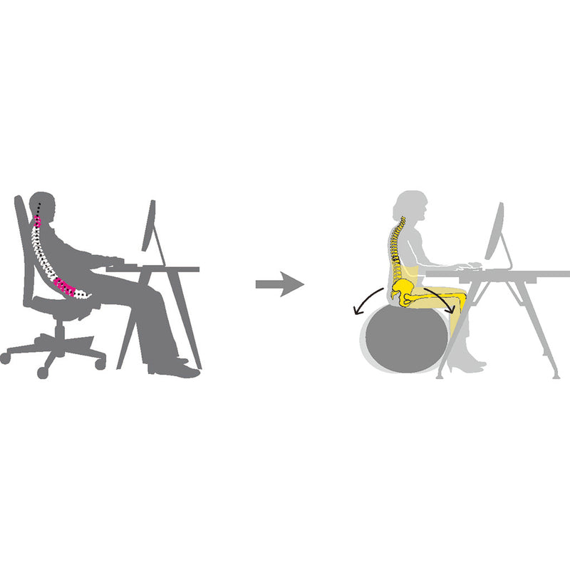 Wellness Ball™ Active Sitting ウェルネスボールアクティブ