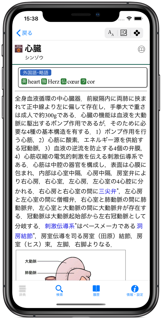 南山堂医学大辞典 第20版