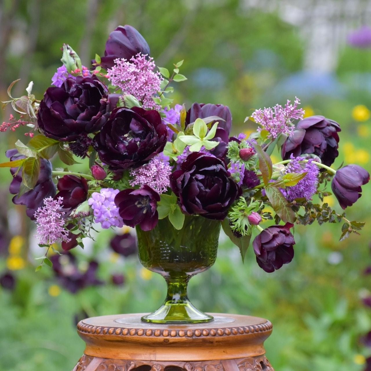 Tulip Double Late Black Hero - 10 bulbs - Longfield Gardens