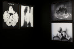 6_5.jpg?itok=CEJBW0-N