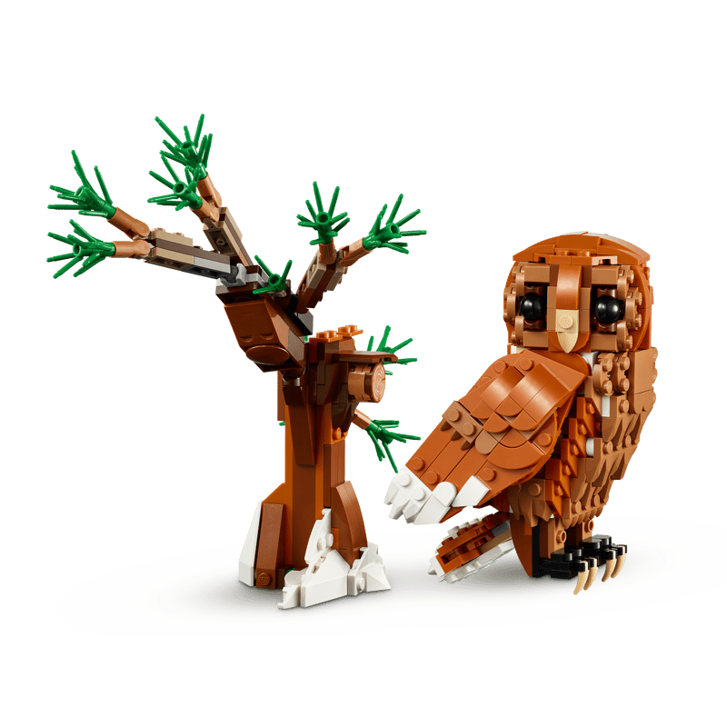 31154_alt3.png?fit=crop&