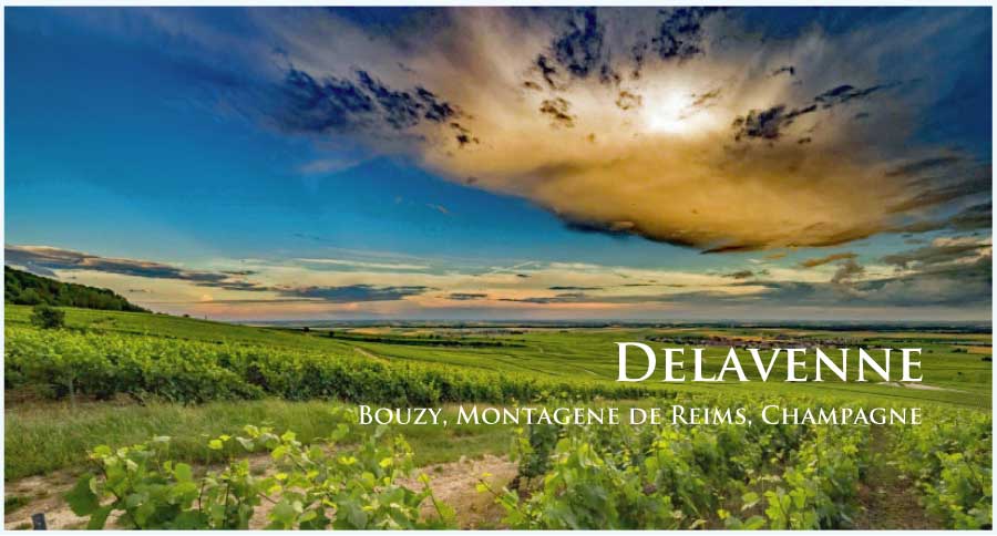 ドゥラヴェンヌ・ペール・エ・フィス シャンパーニュ ブリュット