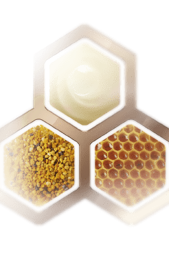 VALMONT |レリクシール デ クラシエ | ユイル マジェステューズ