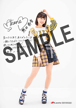 熊田茜音 | Lantis web site