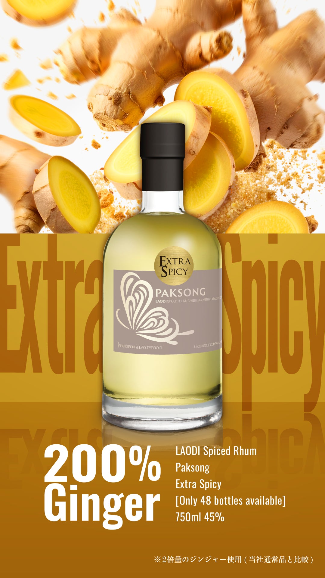 完売／数量限定品】ラオディ スパイスドラム パクソン エクストラ