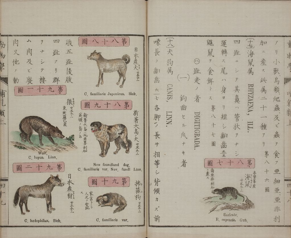 総合図書館貴重書展2011展示資料一覧