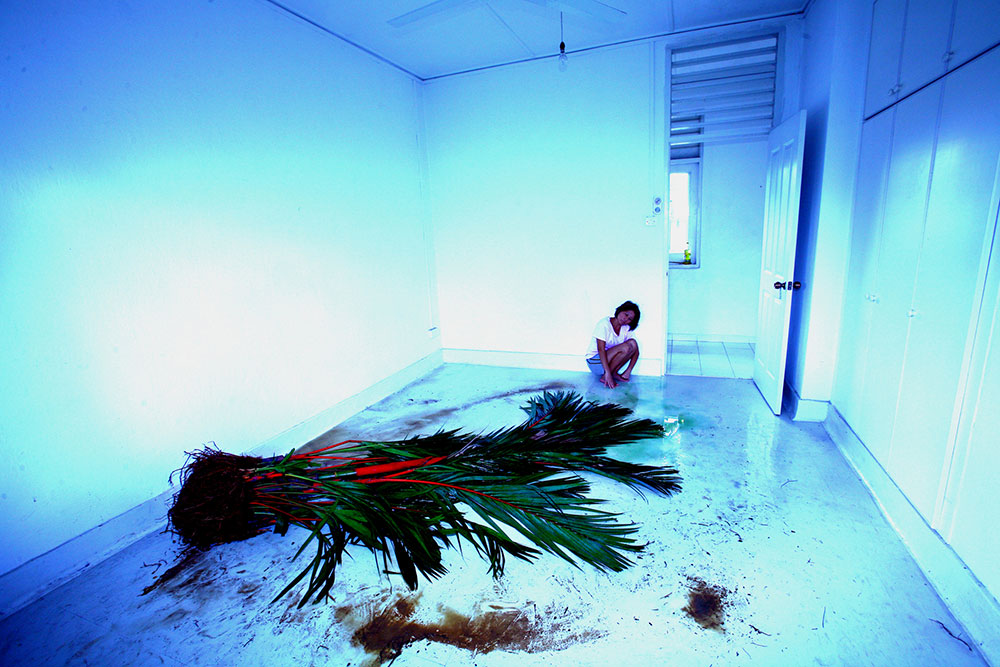 CANARY | Lieko Shiga