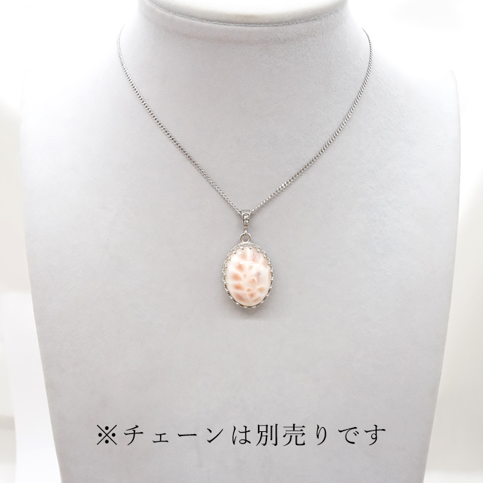 オリジナルフレーム ステンレス シルバー トムソン沸石