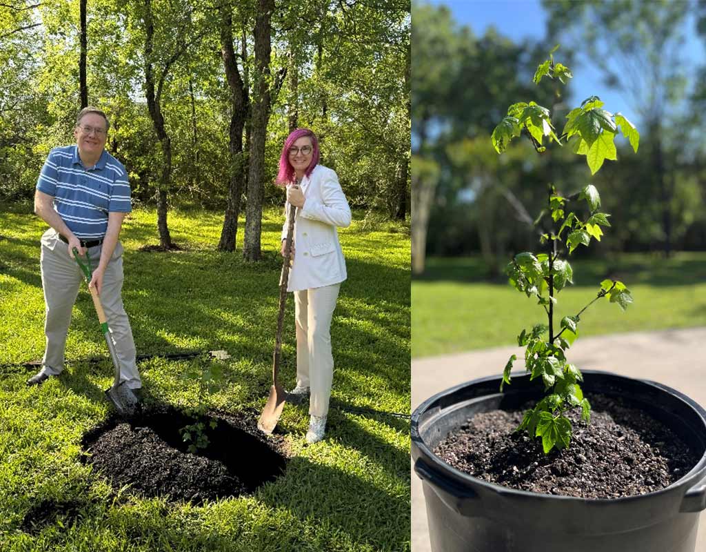 Artemis I Moon Tree Takes Root at the LPI