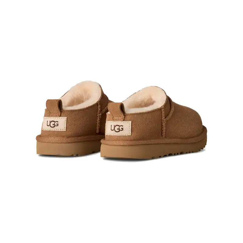 UGG CLASSIC MICRO CHESTNUT - KIDS - Lamey Wellehan Shoes