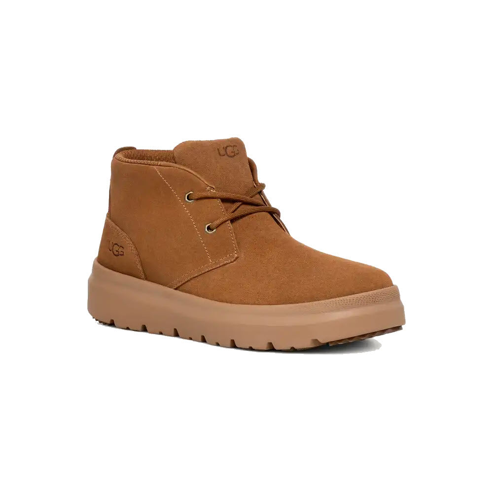 UGG BURLEIGH CHUKKA WATERPROOF BOOT CHESTNUT - MENS - Lamey