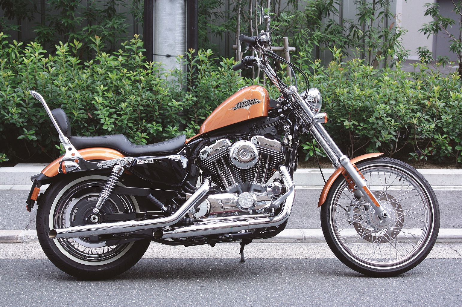 ハーレー｜スポーツスターファミリー用マフラー ブラスワイルド（63