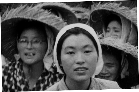 代島治彦監督作品 映画『三里塚のイカロス』公式サイト｜ 解説 ｜