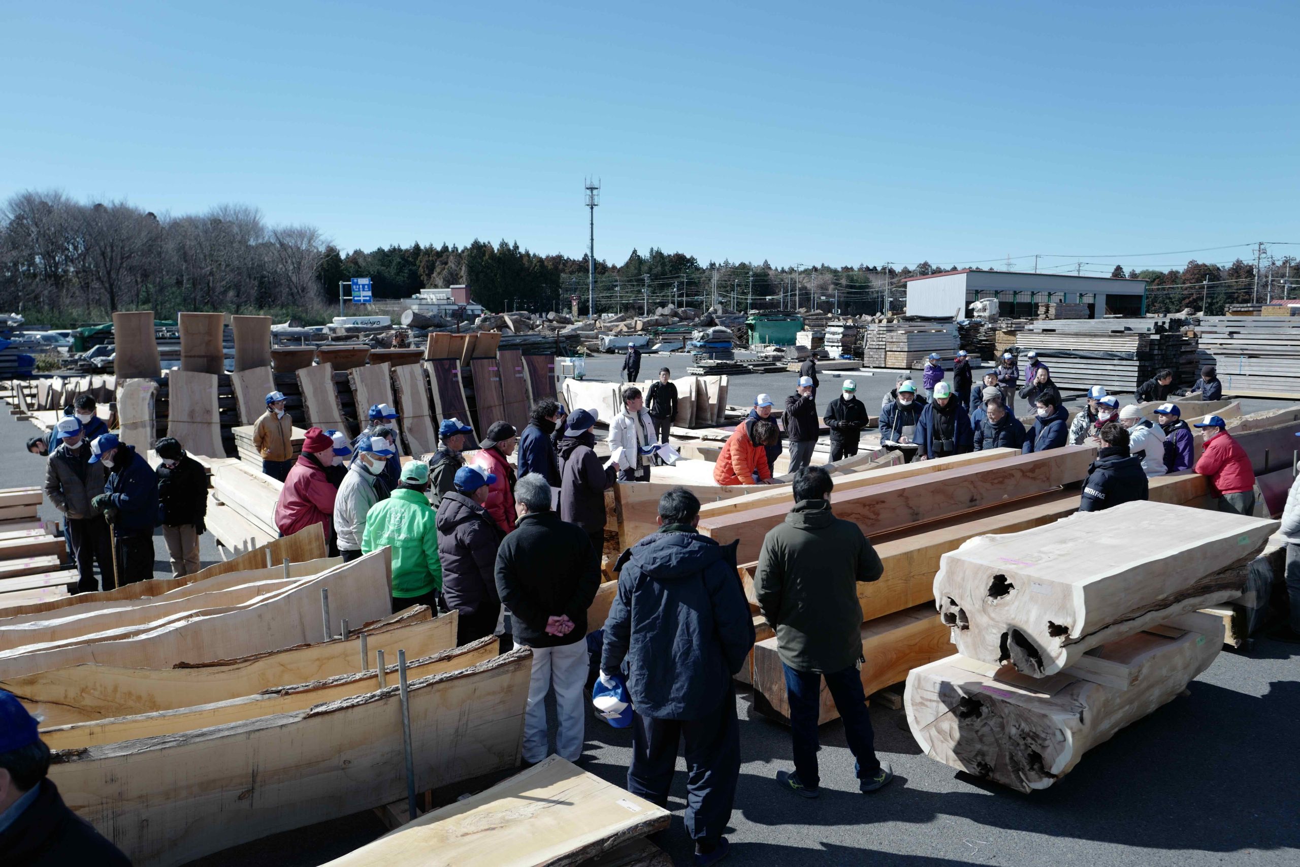 アフターレポート】第43回 銘青連 全国優良銘木展示大会 | 東京木材