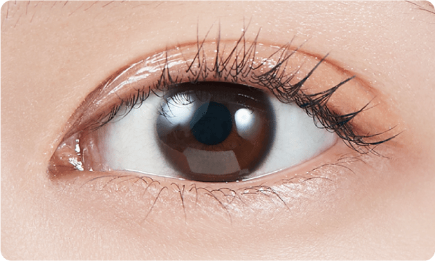 1DAY/1MONTH SAKURA PETAL（サクラペタル）ワンデー/マンスリー│MOLAK