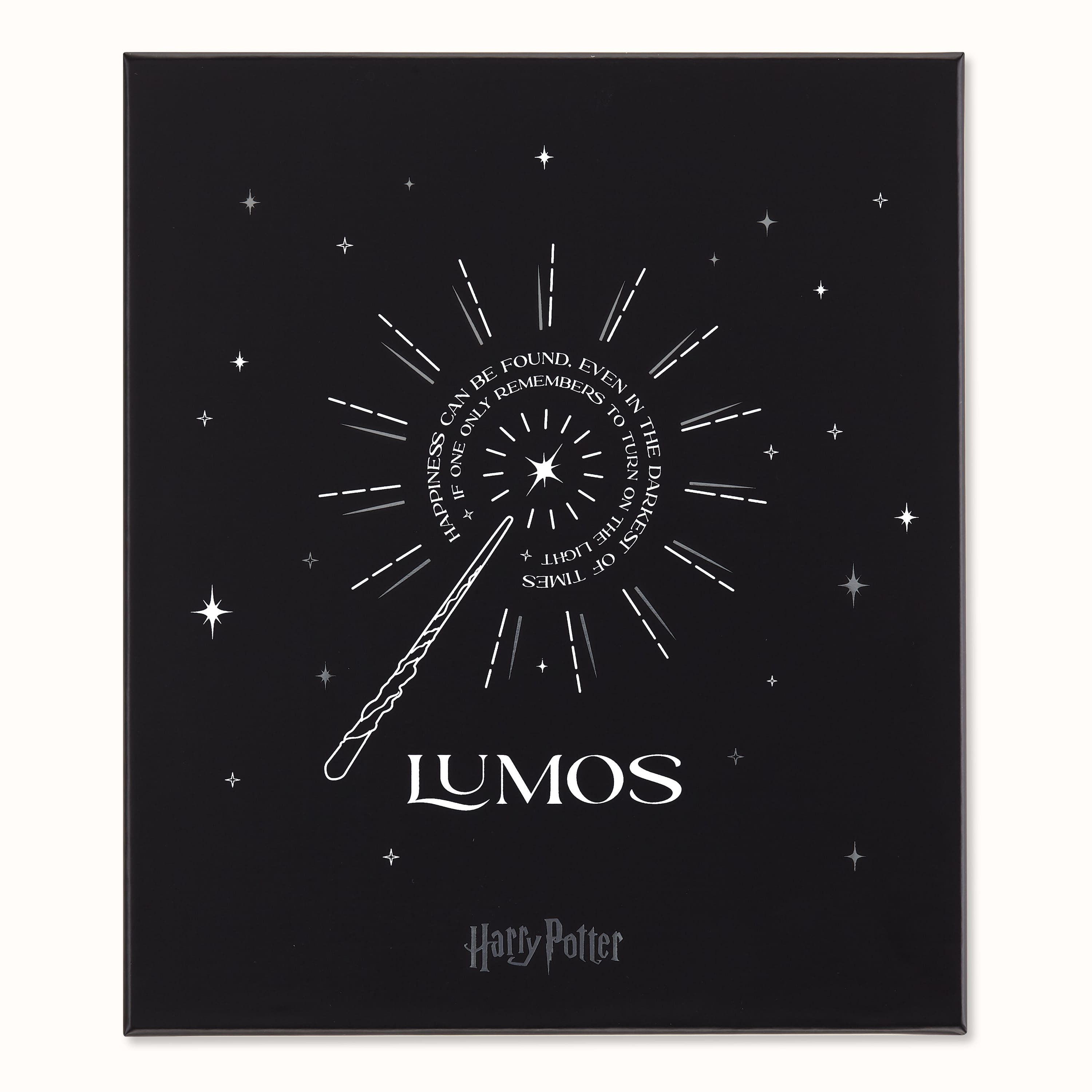 限定版 ハリー・ポッター 魔法ワールド Kawecoローラーボールペンと