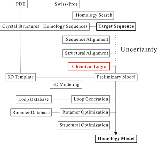 分子機能研究所|ホモロジーモデリング
