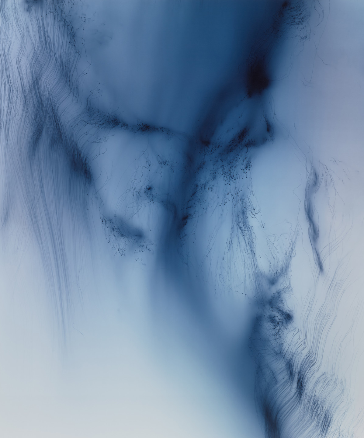 Wolfgang Tillmans. Freischwimmer 199. 2012 | MoMA