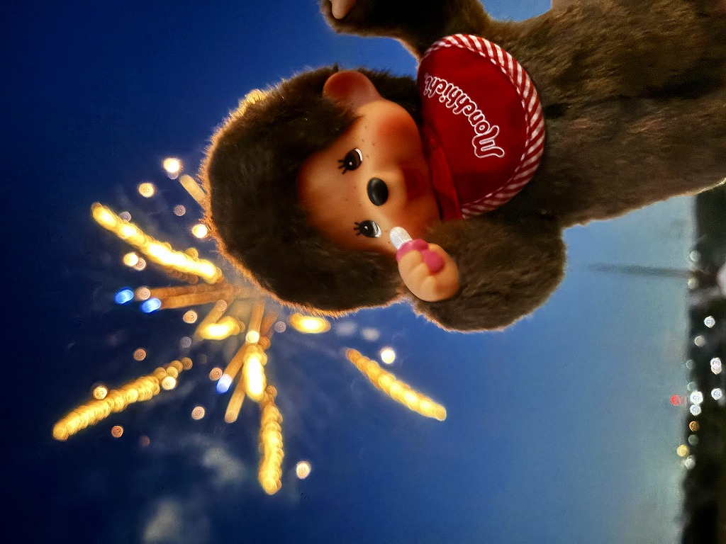 モンチッチがレポート☆】葛飾納涼花火大会に行ってきたモン