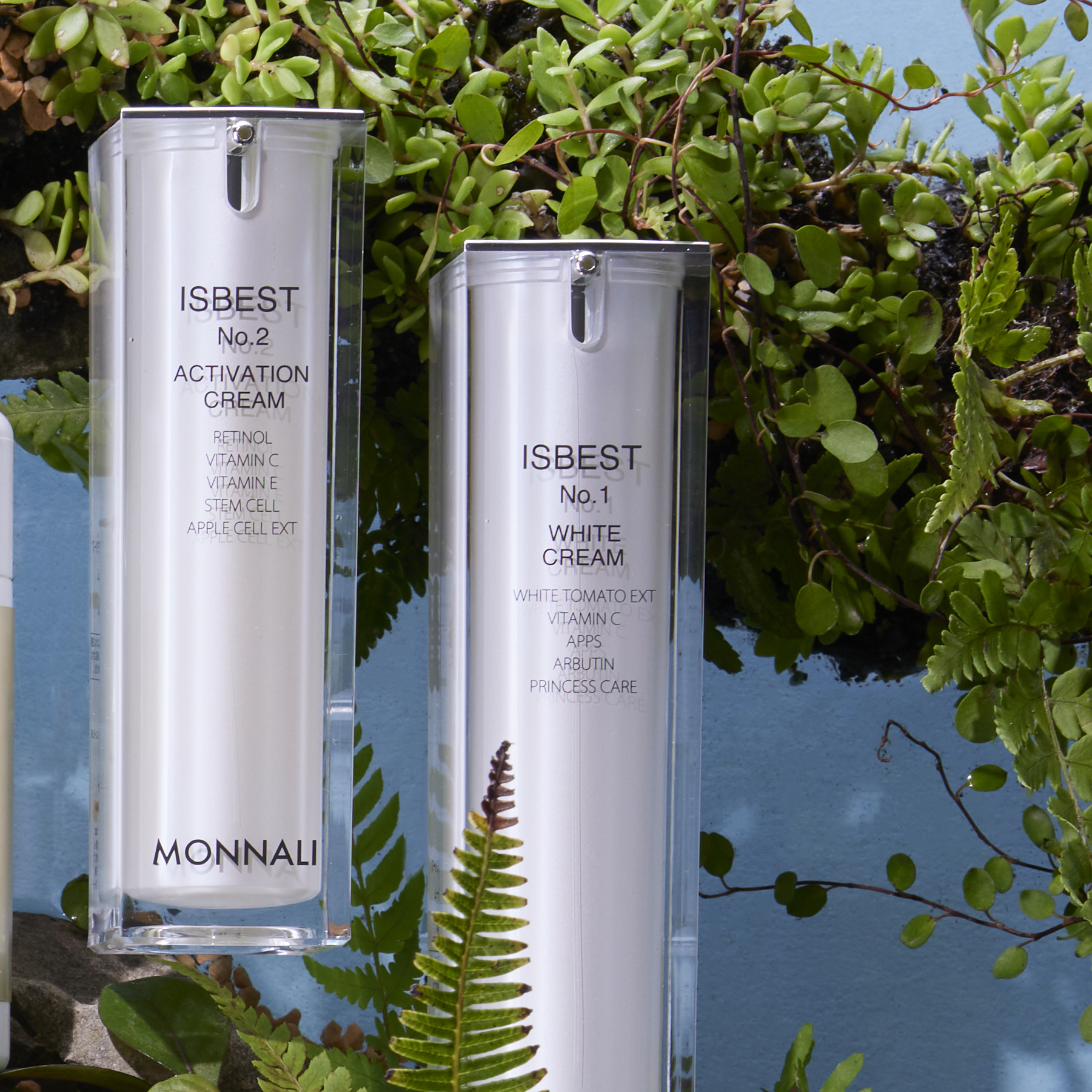 TR50 ローション | MONNALI