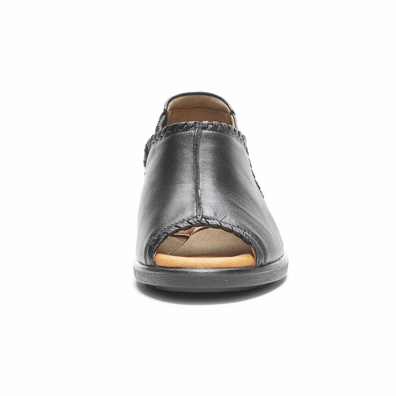 SP9331 ブラック | 【公式】MOONSTAR ONLINE STORE