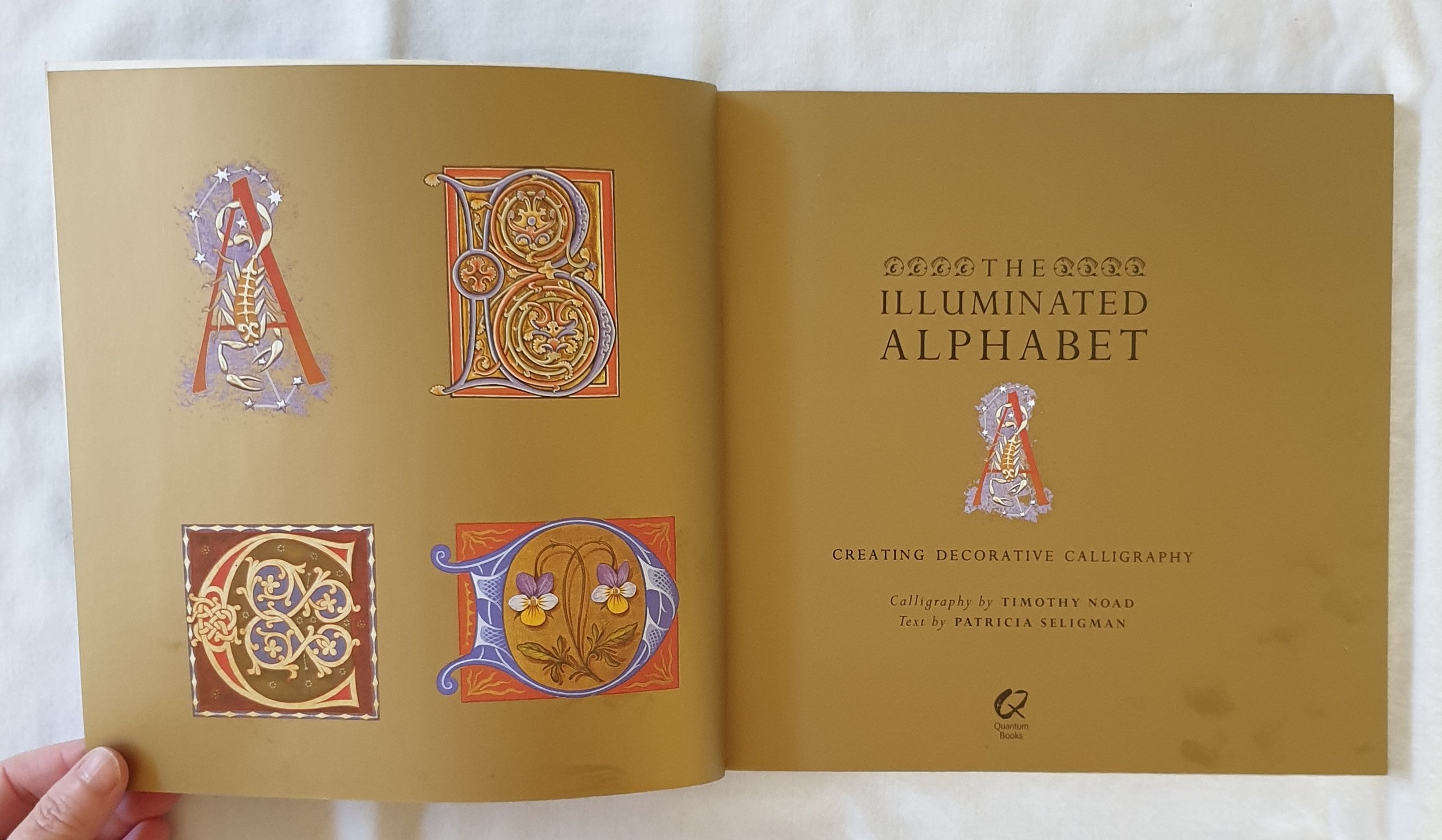 The Illuminated Alphabet by Patricia Seligman – Morgan's Rare Books