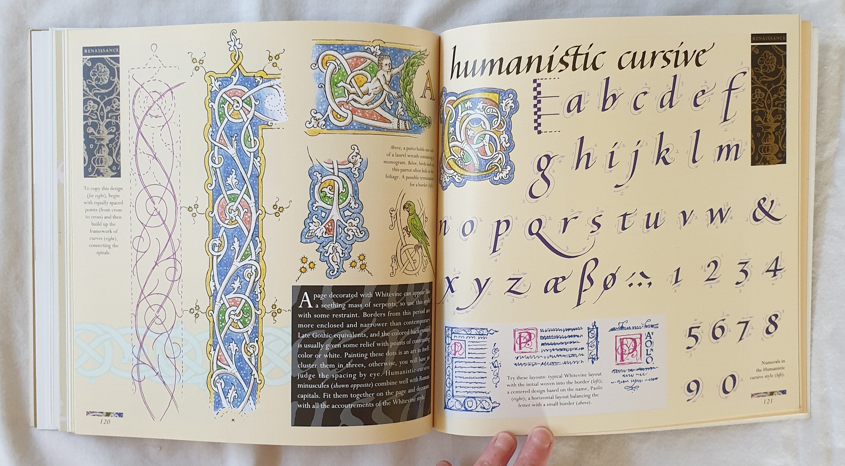 The Illuminated Alphabet by Patricia Seligman – Morgan's Rare Books