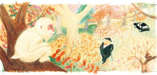 森びとの絵本|森びとプロジェクト ～山と心に木を植える～