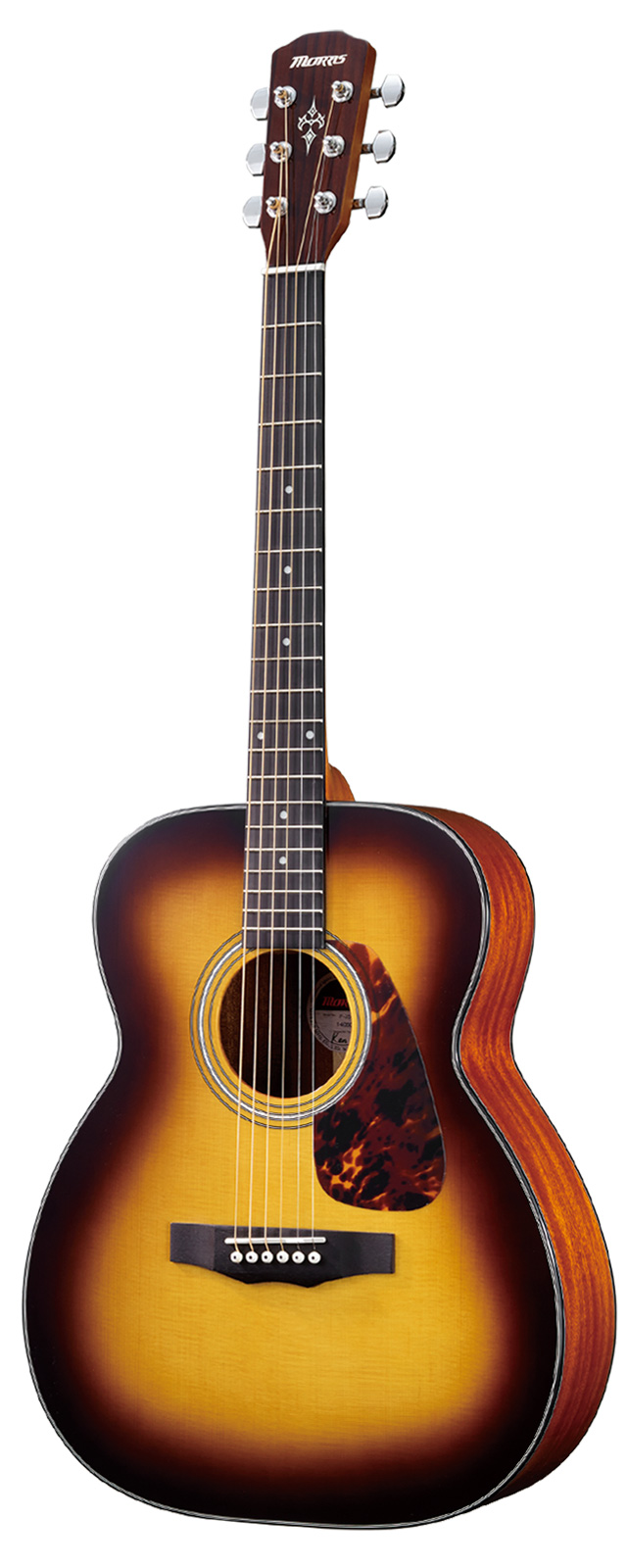 F-351 | 生産完了品 | MORRIS GUITARS モーリスギター