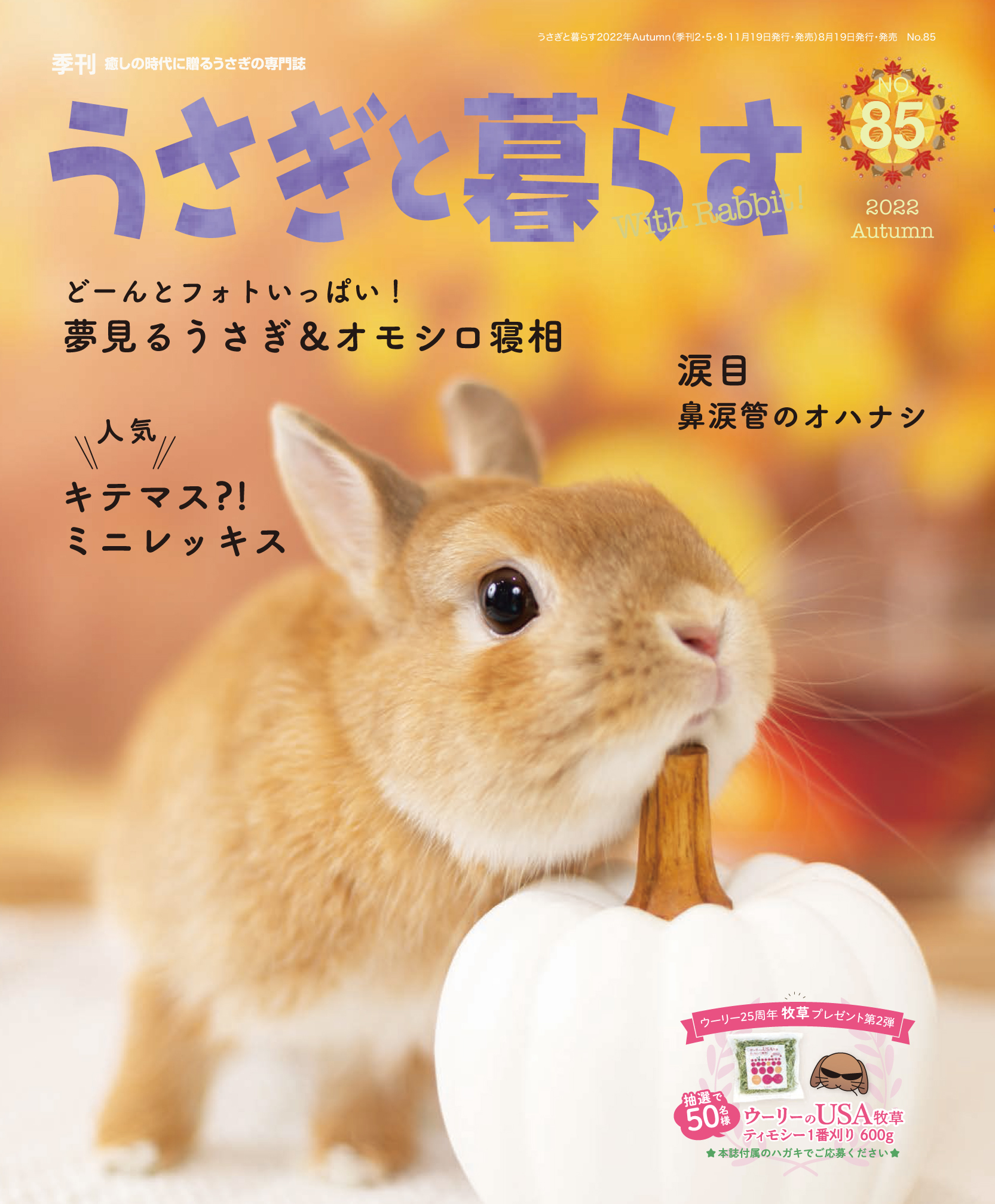 季刊うさぎと暮らす No.85 (2022年Autumn) | メディアパル