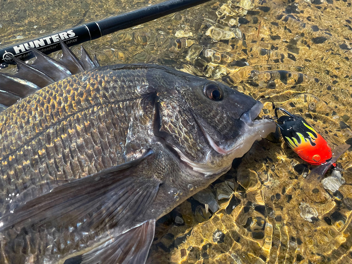 ご近所三大怪魚を狙え！ 怪魚ハンター的「BATRA-X」のトリセツ2022