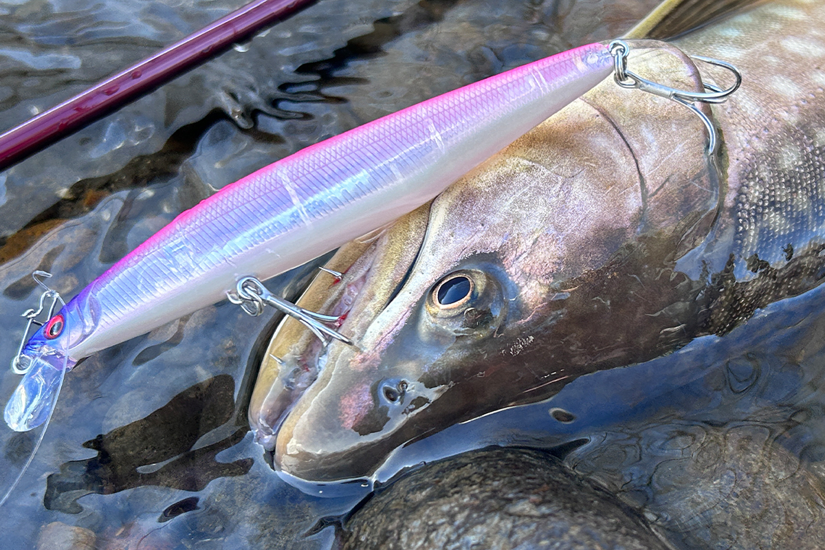 ソルト用ミノーは北海道の鱒をも魅了するのか（後編） | Megabass-メガバス