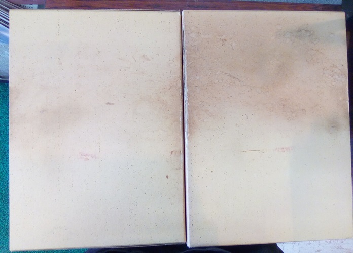 明倫館書店 / 東洋医学善本叢書 1-8