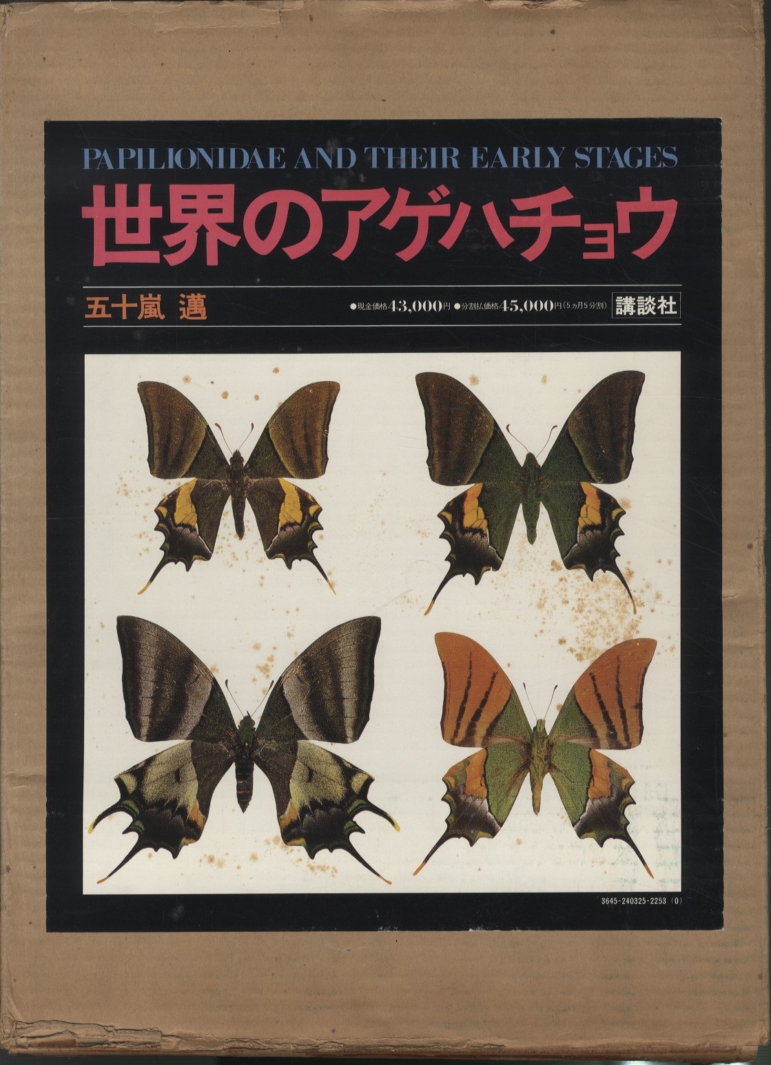 明倫館書店 / 世界のアゲハチョウ（図版編・解説編）