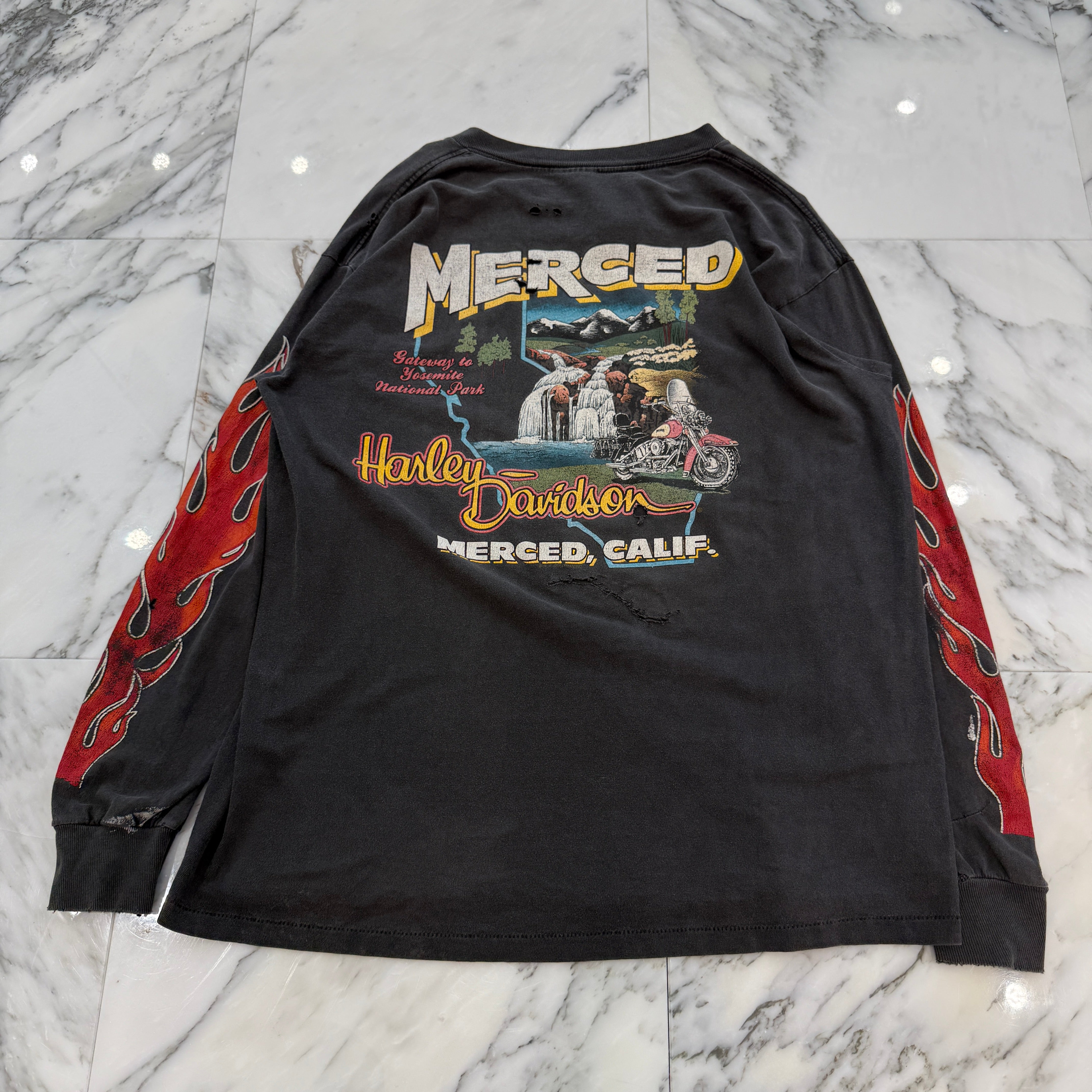 Vintage 90's Harley-Davidson UNTAMED 