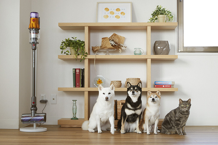 愛犬・愛猫家が実体験で絶賛！ ダイソンのグルーミングツールはココが