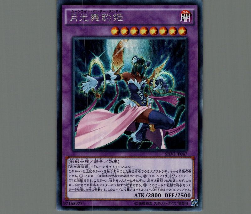 遊戯王 月光舞豹姫 シク ① 遊戯王 月光舞豹姫 シク ① 月光舞豹姫