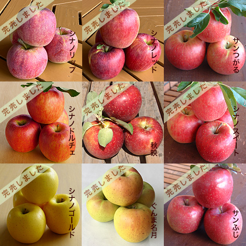 松井農園 - りんご特選品 5Kg箱入