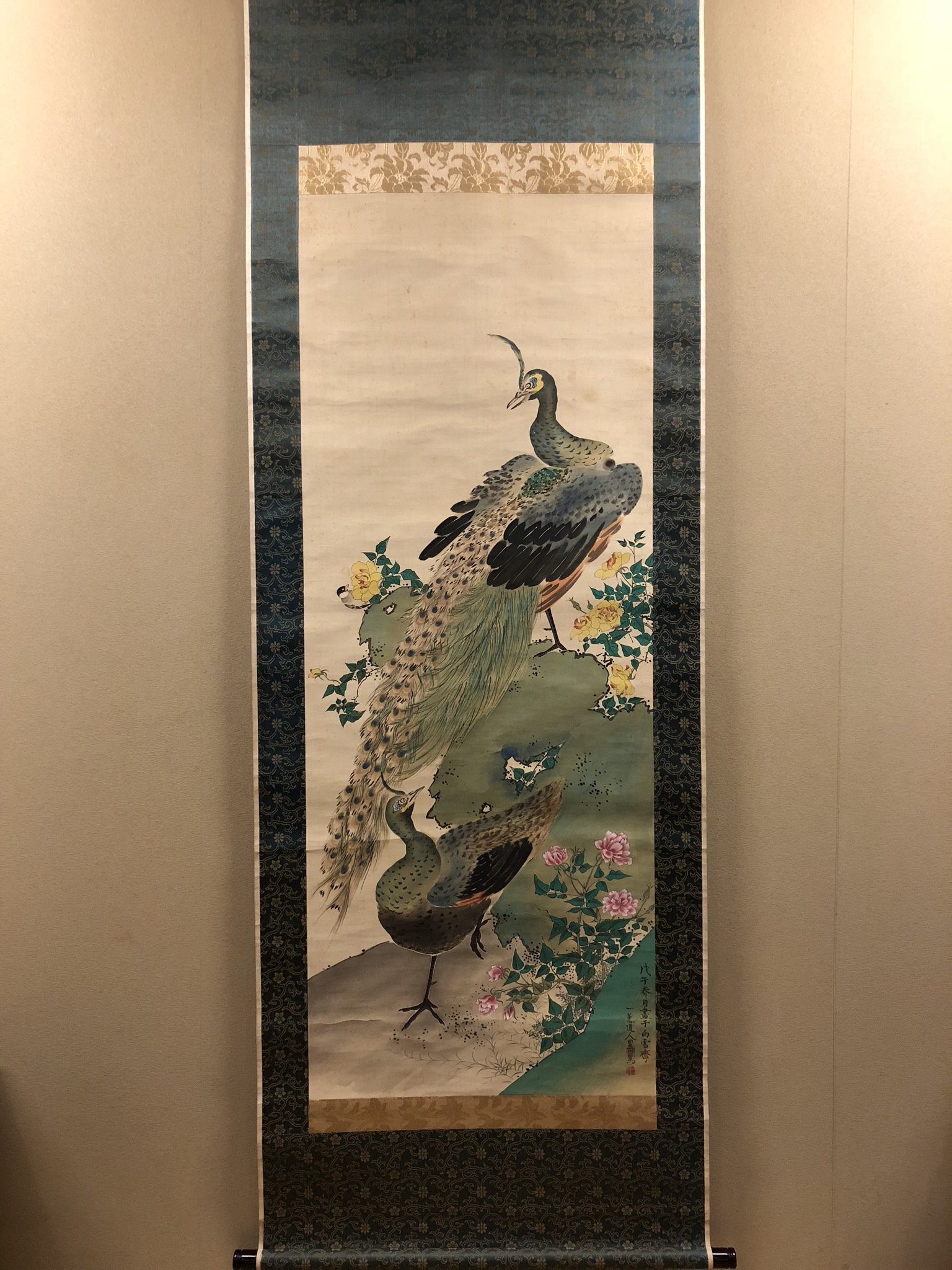 浮田一蕙 長春華双孔雀図｜古美術・掛け軸の販売・買取・鑑定-松本松栄堂