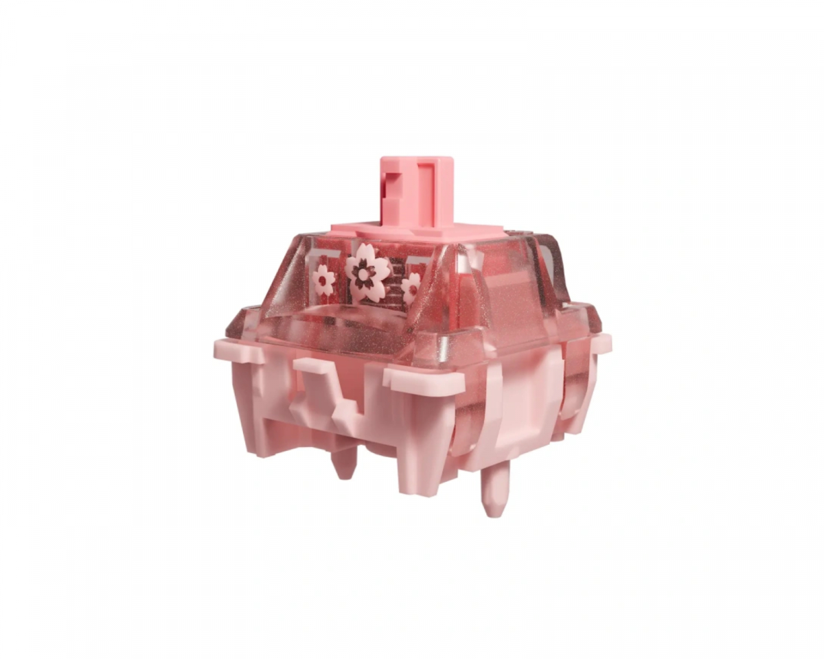 35070.jpg?m=1750068362