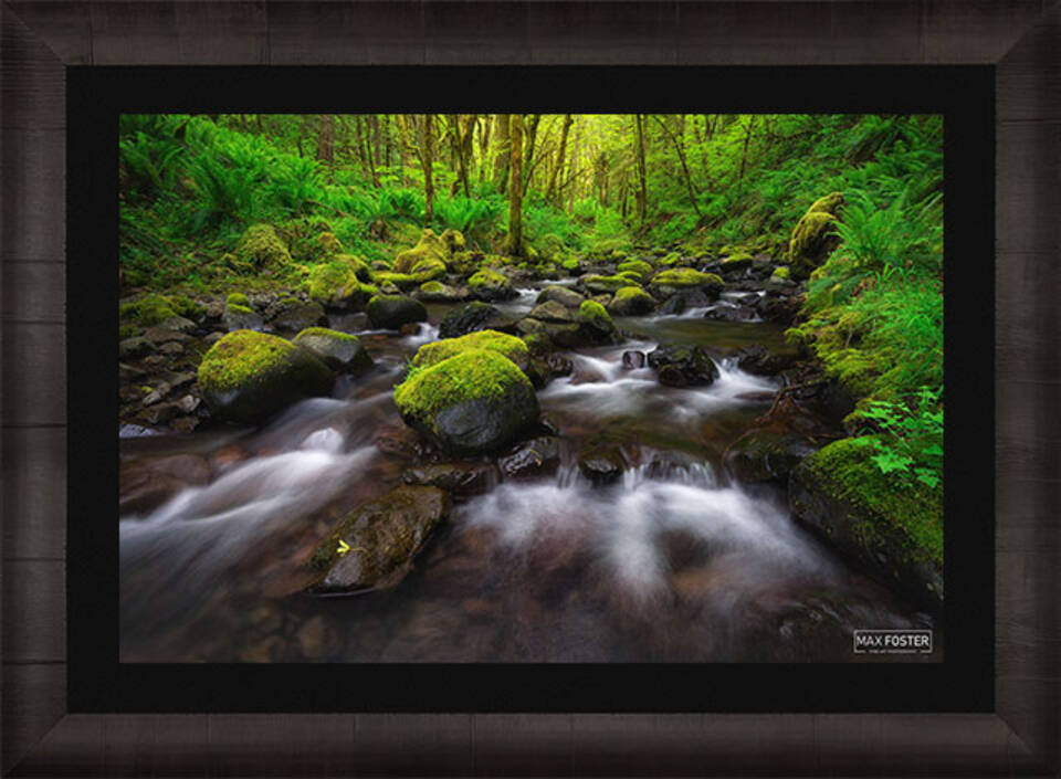 Lush | Gorton Creek | Columbia River Gorge, Oregon | Max Foster