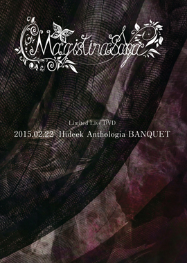 Magistina Saga official website